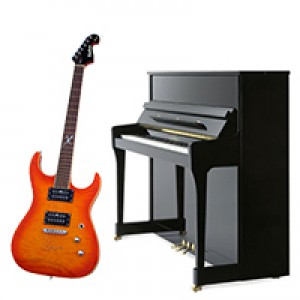 השכרת כלי נגינה