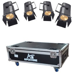 סט של 4 פנסים עם קייס