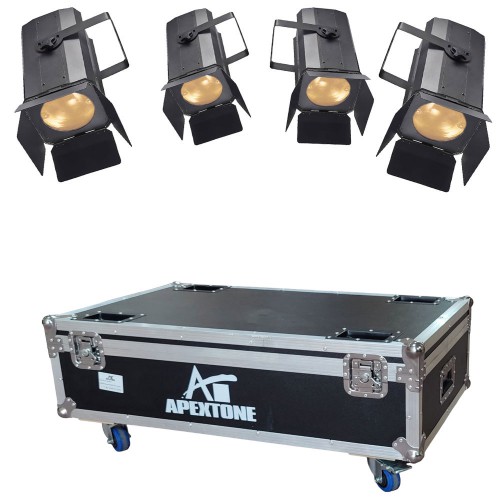 סט של 4 פנסים עם קייס