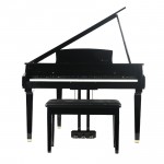 פסנתר כנף חשמלי 