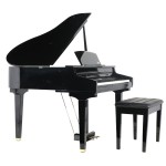 פסנתר כנף חשמלי 