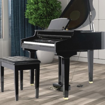 פסנתר כנף חשמלי 