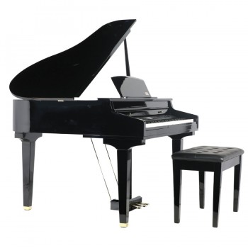 פסנתר כנף חשמלי 