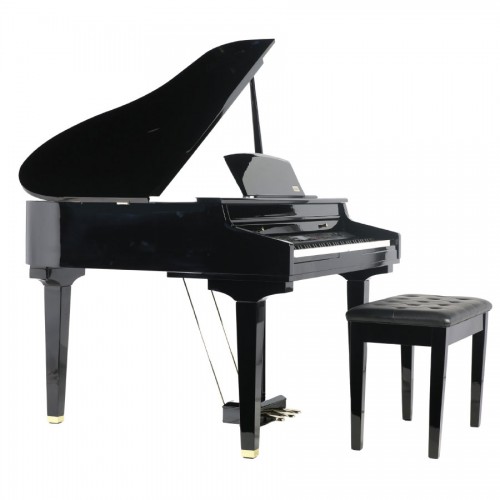 פסנתר כנף חשמלי 