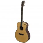 גיטרה אקוסטית עם קייס