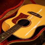 גיטרה אקוסטית עם קייס