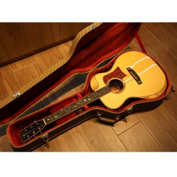 גיטרה אקוסטית עם קייס