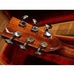 גיטרה אקוסטית עם קייס