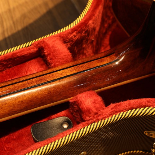 גיטרה אקוסטית עם קייס