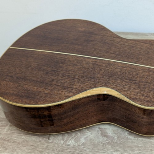 גיטרה אקוסטית עם קייס