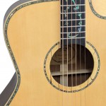 גיטרה אקוסטית עם קייס