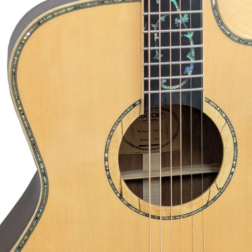 גיטרה אקוסטית עם קייס