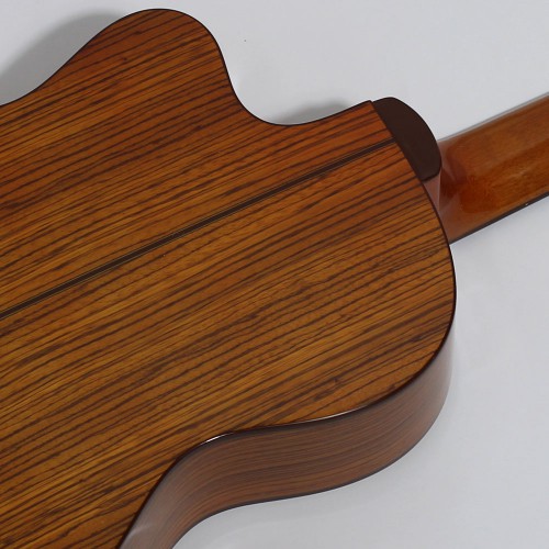 גיטרה קלאסית 