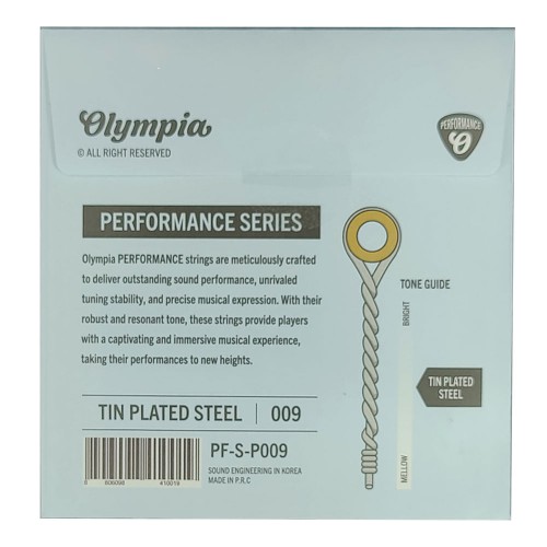 Acoustic / Electric 009 String