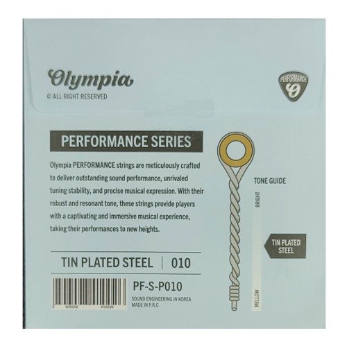 Acoustic / Electric 010 String