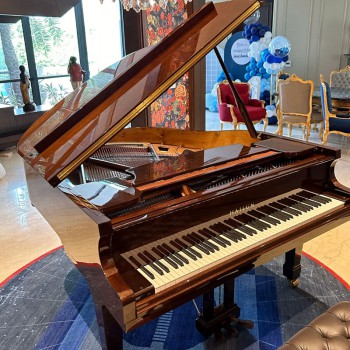 פסנתר כנף חדש 151 ס"מ