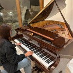 פסנתר כנף חדש 151 ס"מ