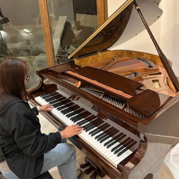 פסנתר כנף חדש 151 ס"מ