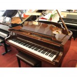 פסנתר כנף חדש 151 ס"מ