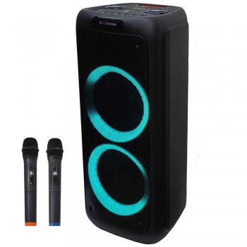 בידורית עוצמתית 650W  "2x10