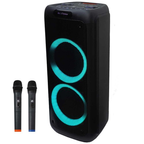 בידורית עוצמתית 650W  "2x10