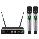 True Deversity Wireless