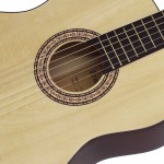 גיטרה קלאסית 3/4 עם תיק