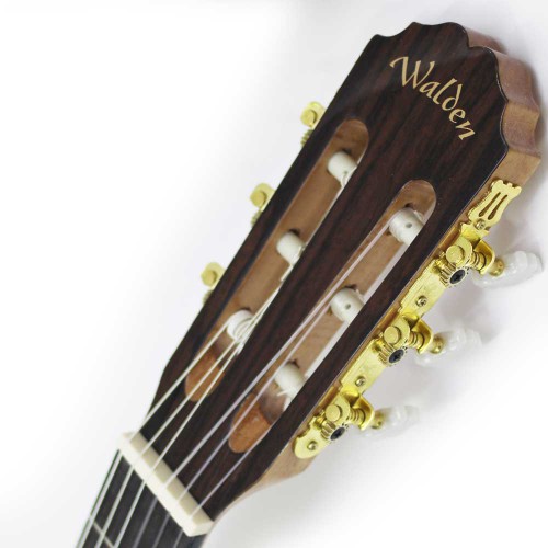 גיטרה קלאסית 