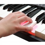 אורגן 5 אוקטבות