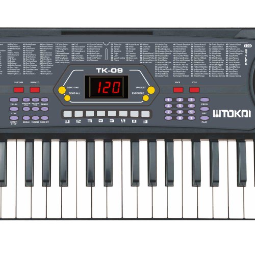 אורגנית 54 קלידים