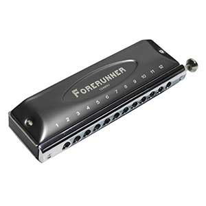 מפוחיות ומלודיקות