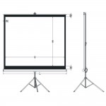 מסך הקרנה 150" עם חצובה