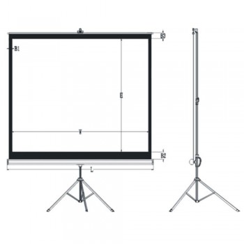 מסך הקרנה 150" עם חצובה