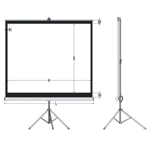 מסך הקרנה 150" עם חצובה