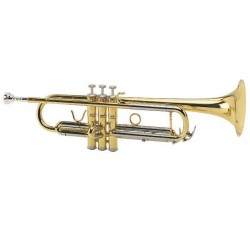 חצוצרה תזמורתית עם קייס