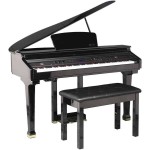 פסנתר כנף חשמלי