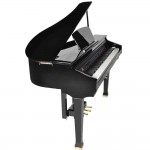 פסנתר כנף חשמלי