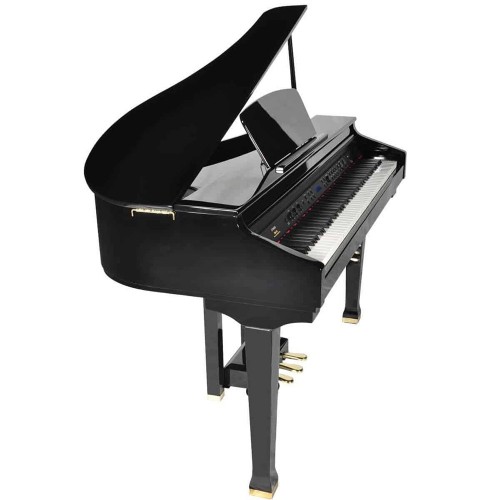 פסנתר כנף חשמלי