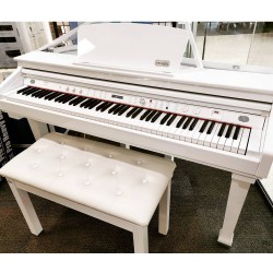 פסנתר כנף חשמלי+3 שנות אחריות