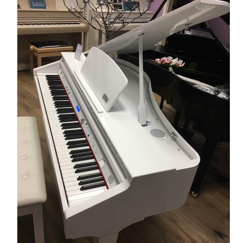 פסנתר כנף חשמלי+3 שנות אחריות