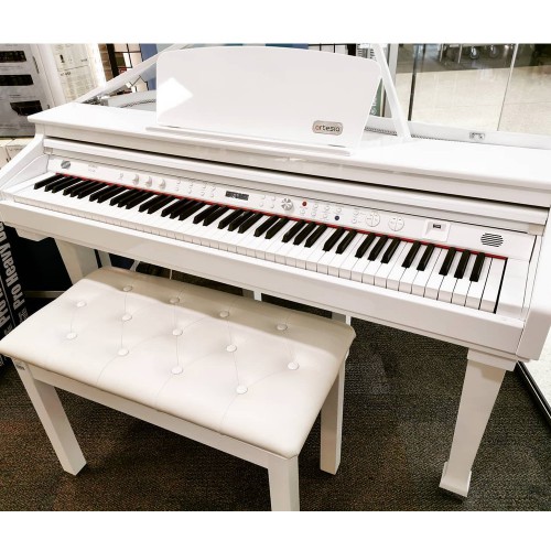 פסנתר כנף חשמלי+3 שנות אחריות