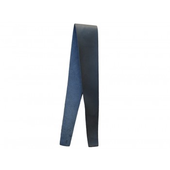 מחזיק למצילות מצעד