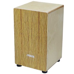 קחון מקצועי עם תיק