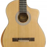 Spruce Top Guitar