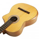 Spruce Top Guitar