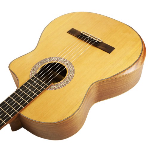 Spruce Top Guitar
