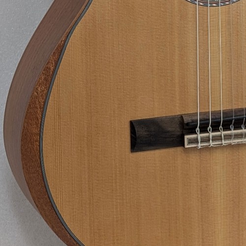 Spruce Top Guitar