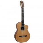 Spruce Top Guitar