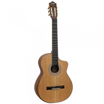 Spruce Top Guitar