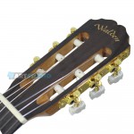 גיטרה קלאסית מוגברת